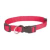 Obojek Basic Nylon – Red 30-48 cm X 15 mm