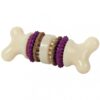 Busy Buddy Bristle bone S